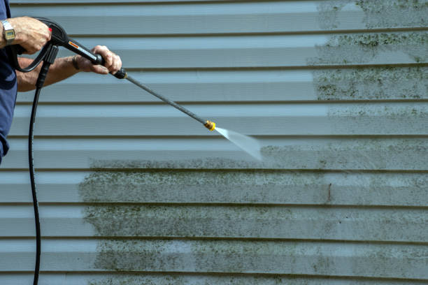 Best Gutter Cleaning  in Lemont Furnace, PA